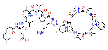 Kahalalide R